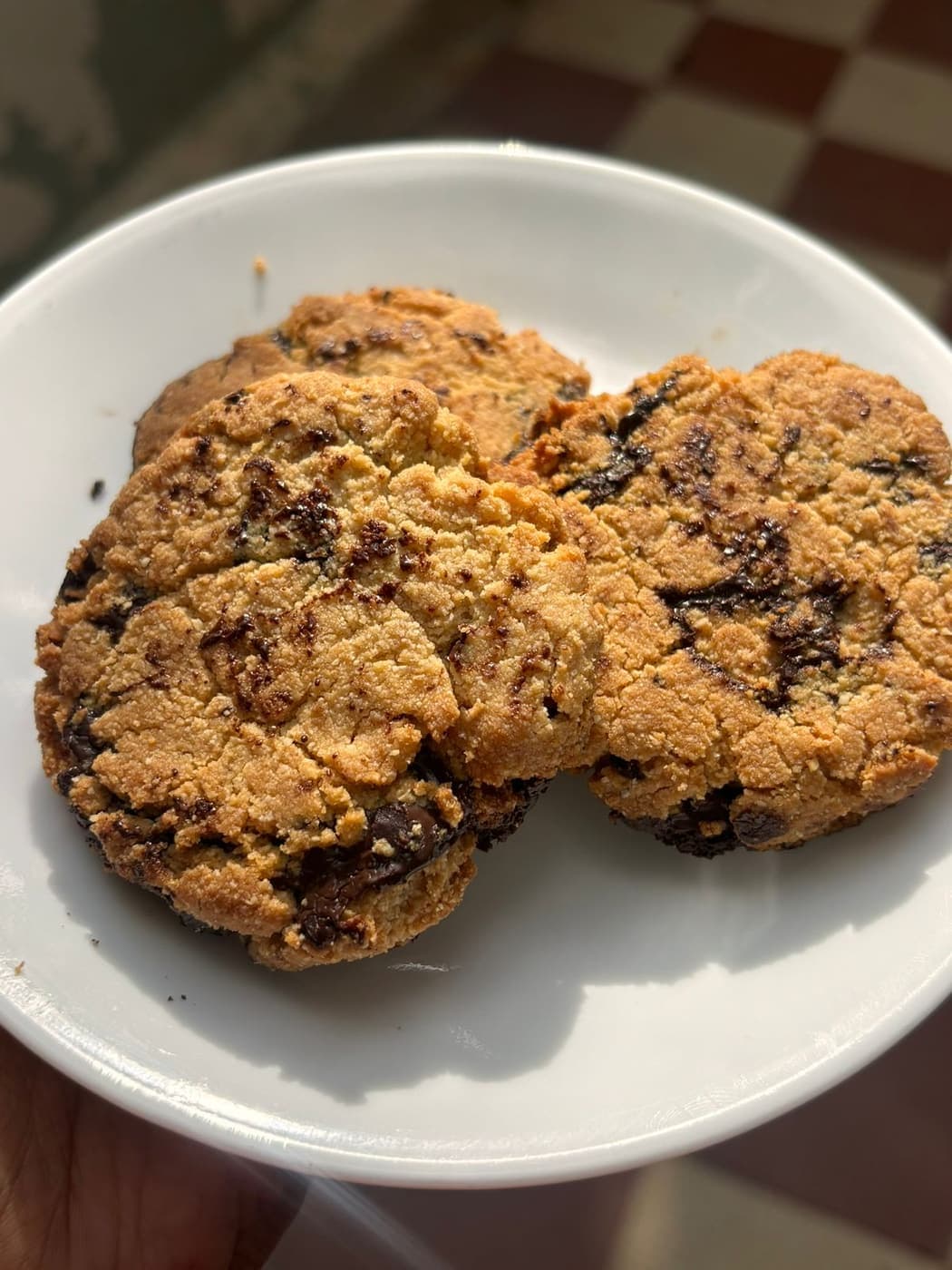 Almond Cookies on a plate, studded with toasted almond and dark chocolate.