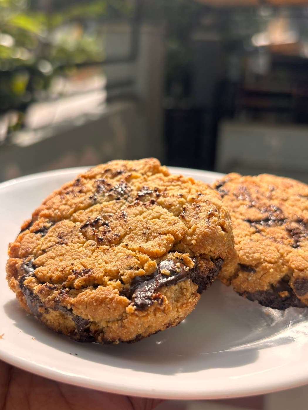 Almond Cookie